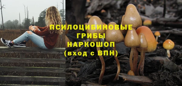 наркотики Магас