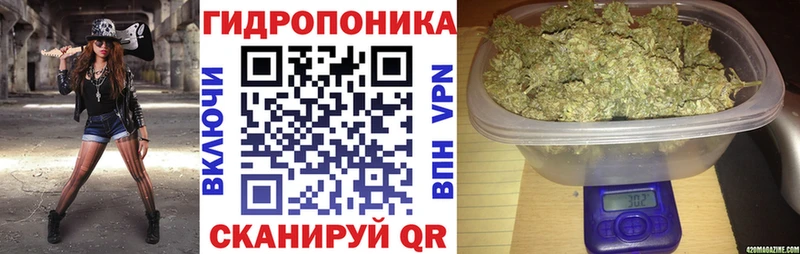 Шишки марихуана AK-47  дарк нет состав  Ясный 